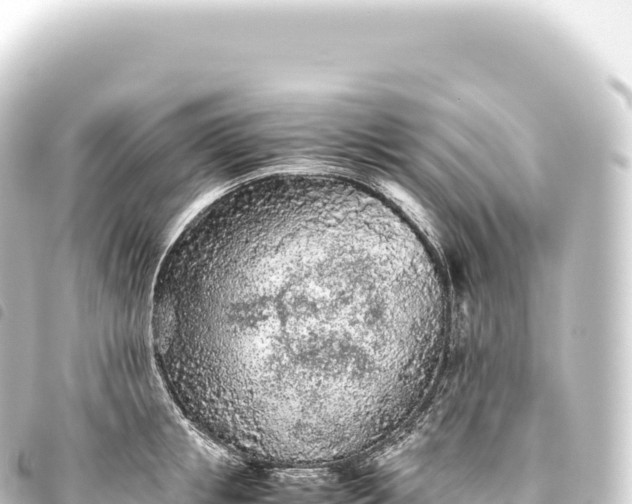 X0000093770853200710301204