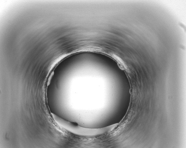 X0000093770854200710301204