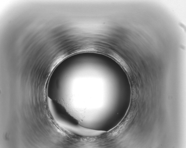 X0000093770858200710301204