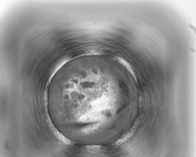 X0000093770859200710301204