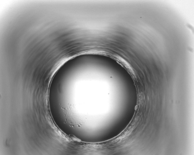 X0000093770860200710301204