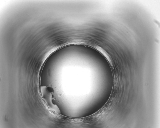 X0000093770861200710301204