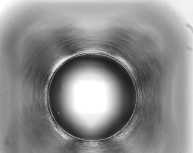 X0000093770862200710301204