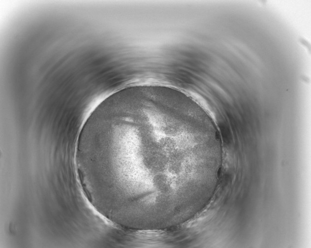 X0000093770863200710301204