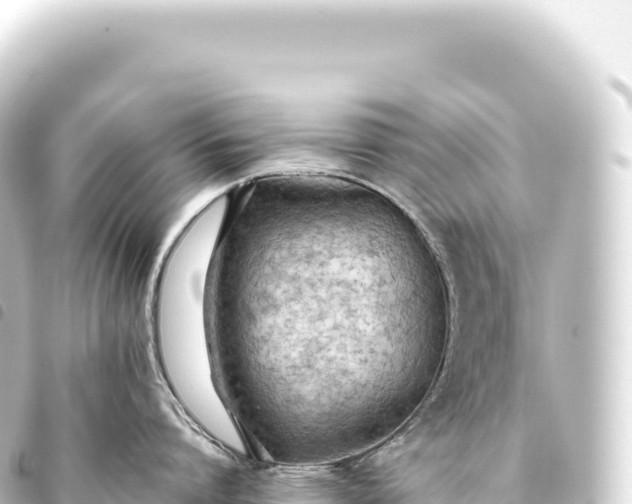 X0000093770864200710301204