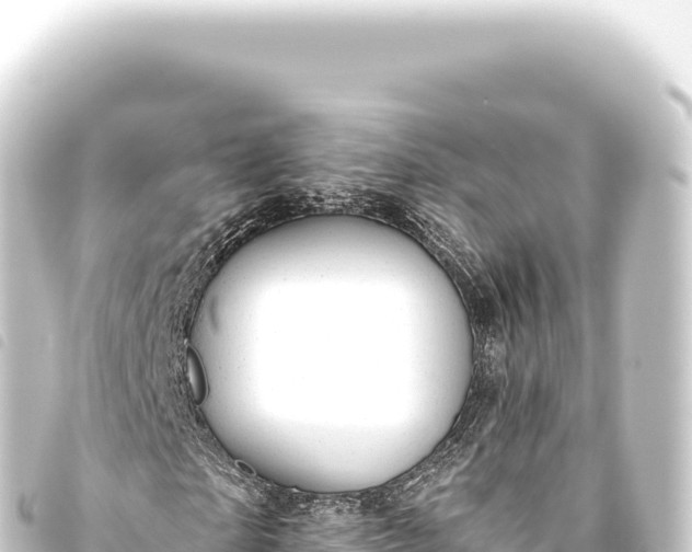 X0000093770865200710301203