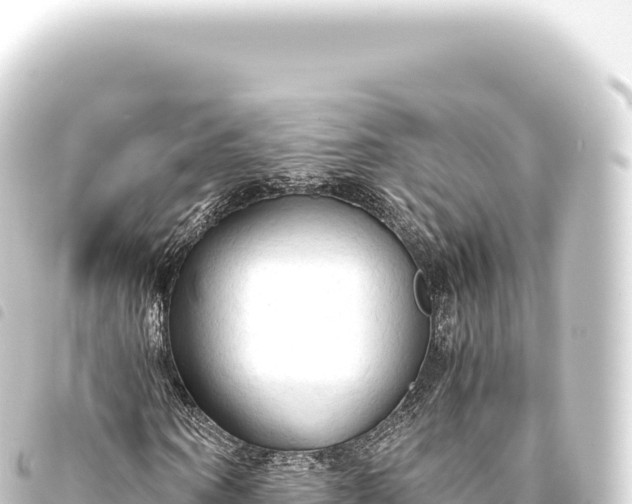 X0000093770866200710301203