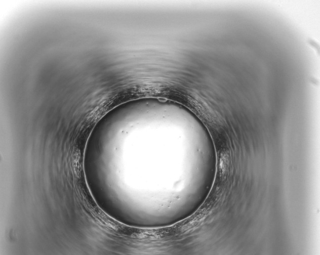 X0000093770867200710301203