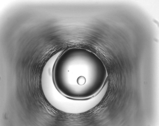 X0000093770868200710301203