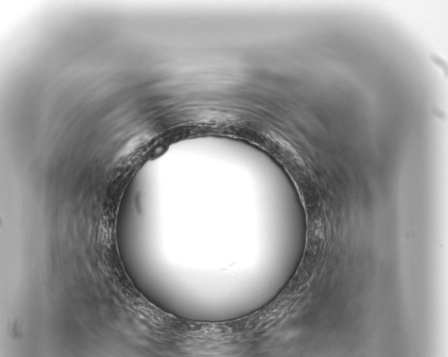 X0000093770869200710301203