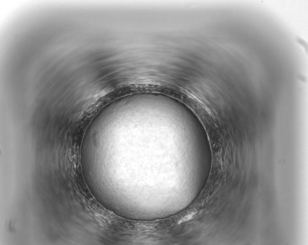 X0000093770870200710301203