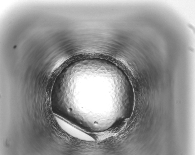 X0000093770871200710301203