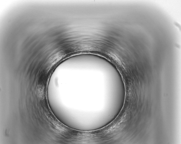 X0000093770873200710301203