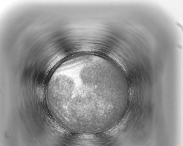 X0000093770874200710301203