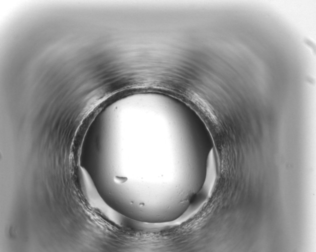 X0000093770876200710301203