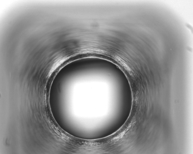 X0000093770877200710301203