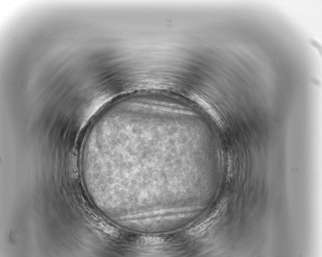 X0000093770878200710301203