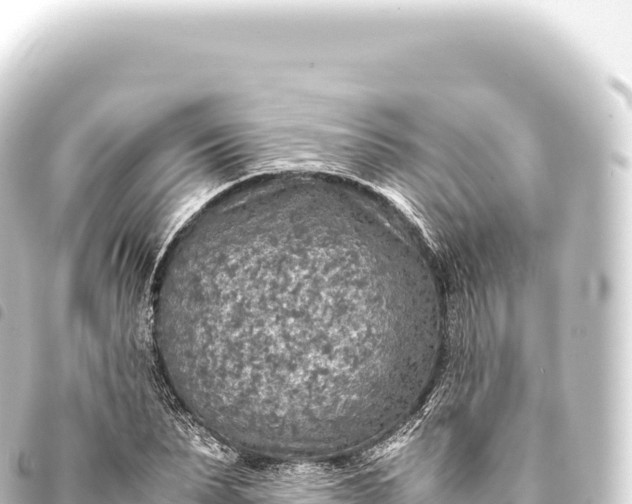 X0000093770879200710301203