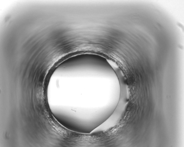 X0000093770880200710301203