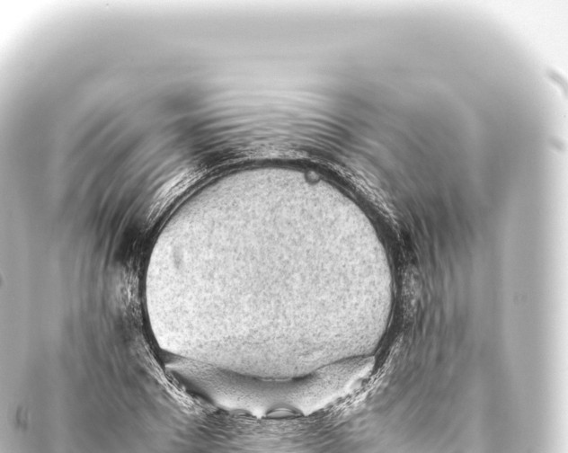 X0000093770881200710301203