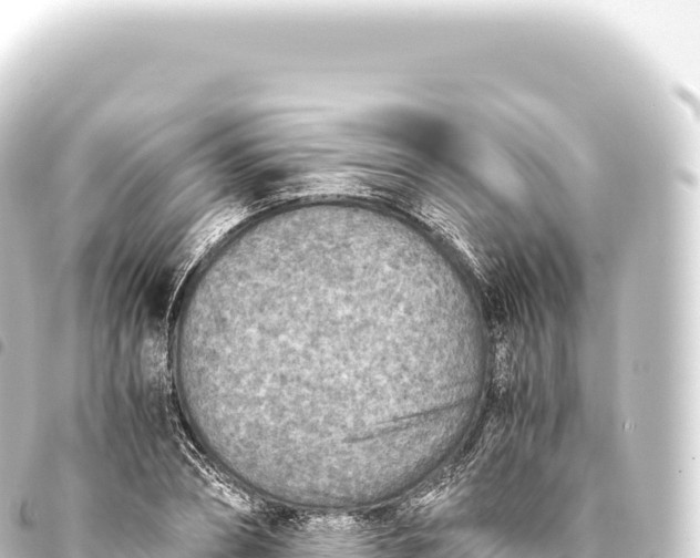 X0000093770882200710301203