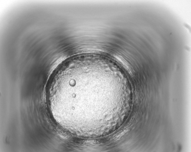 X0000093770883200710301203