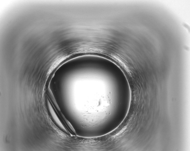 X0000093770885200710301203