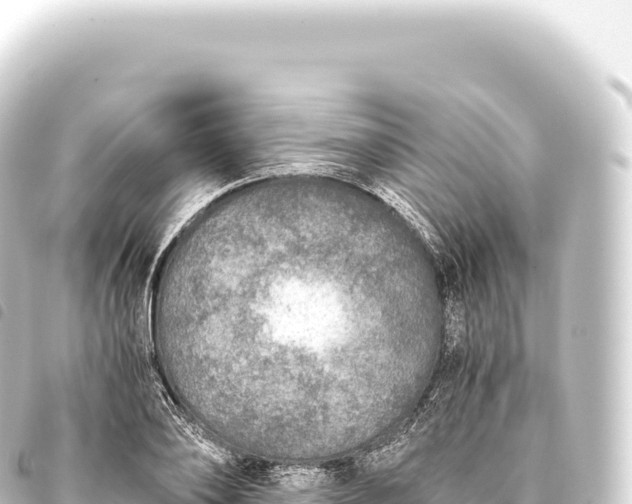 X0000093770886200710301203