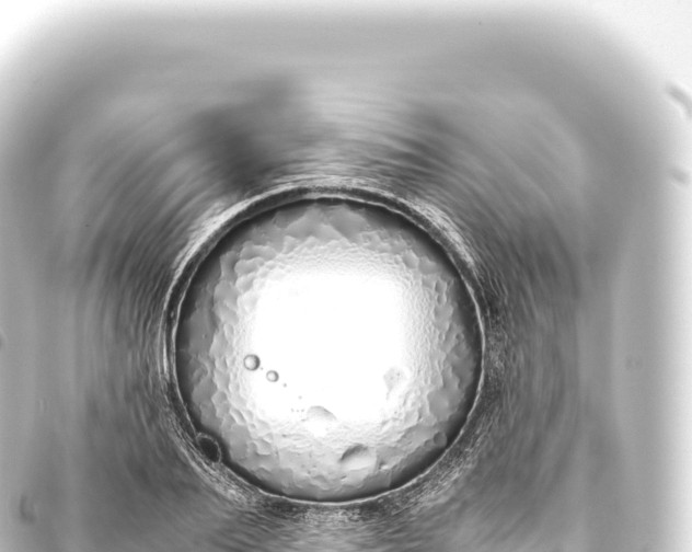 X0000093770887200710301203