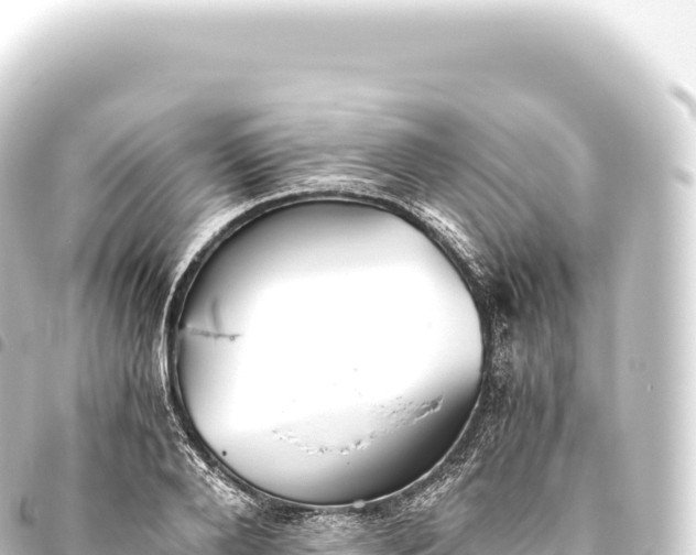 X0000093770888200710301203