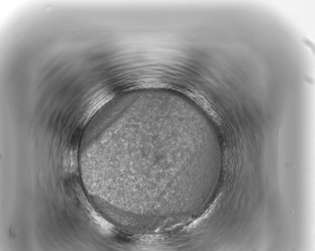 X0000093770889200710301203