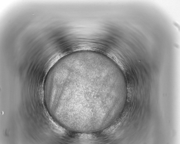 X0000093770890200710301203