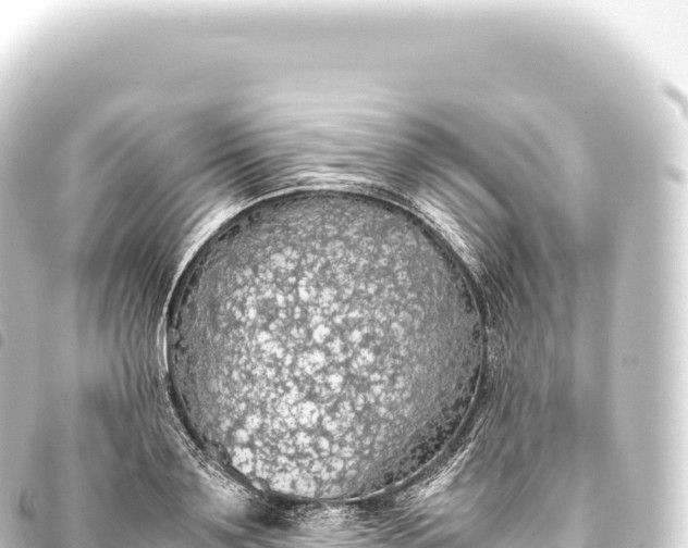 X0000093770891200710301203