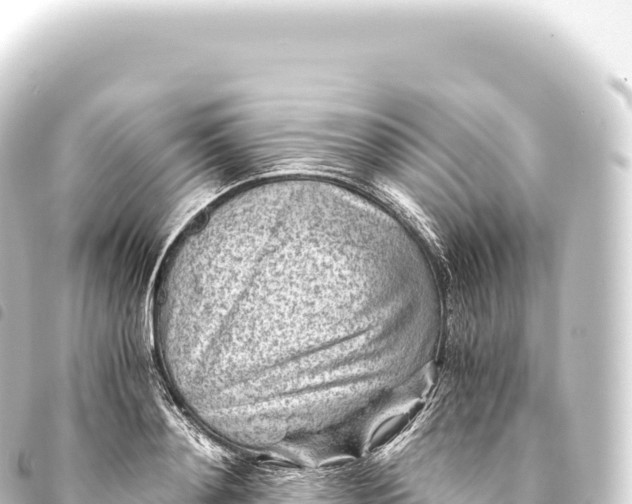 X0000093770892200710301203