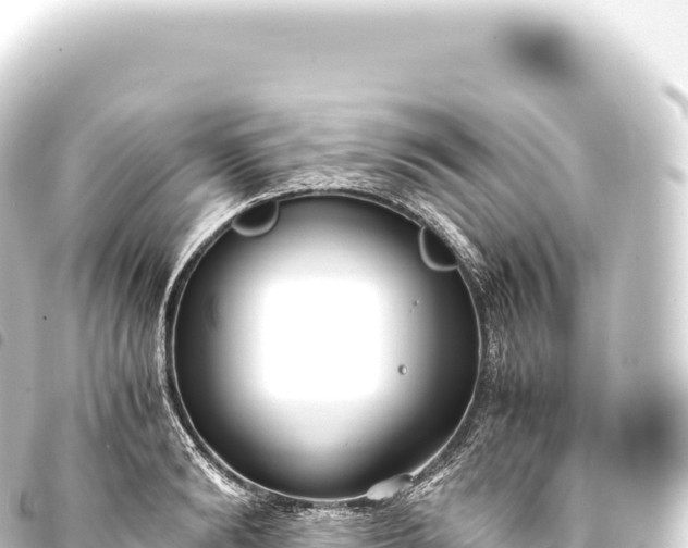 X0000093770894200710301203