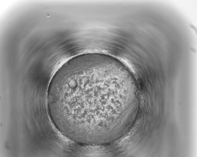 X0000093770895200710301203