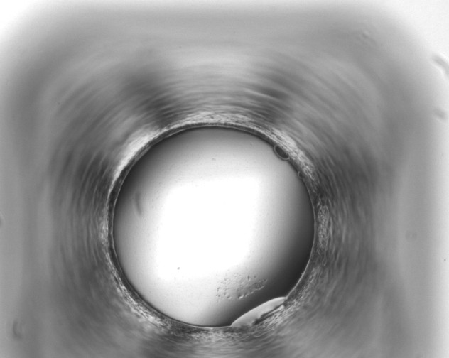 X0000093770896200710301203