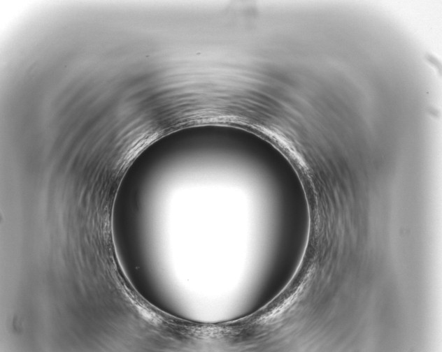 X0000093770897200710301203