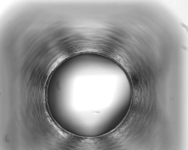 X0000093770898200710301203