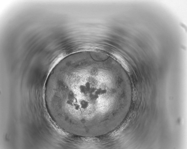 X0000093770899200710301203