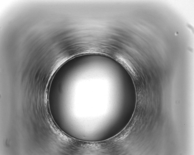 X0000093770900200710301203