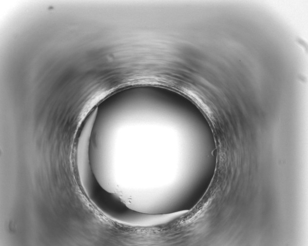 X0000093770901200710301203