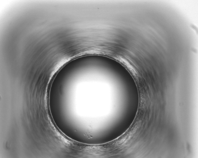 X0000093770902200710301203