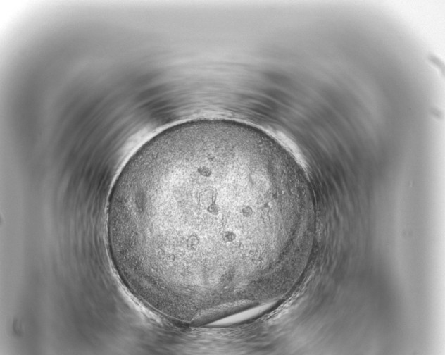 X0000093770903200710301203