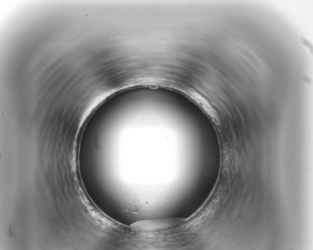 X0000093770904200710301203