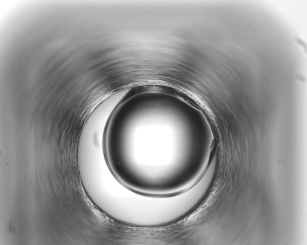 X0000093770905200710301203