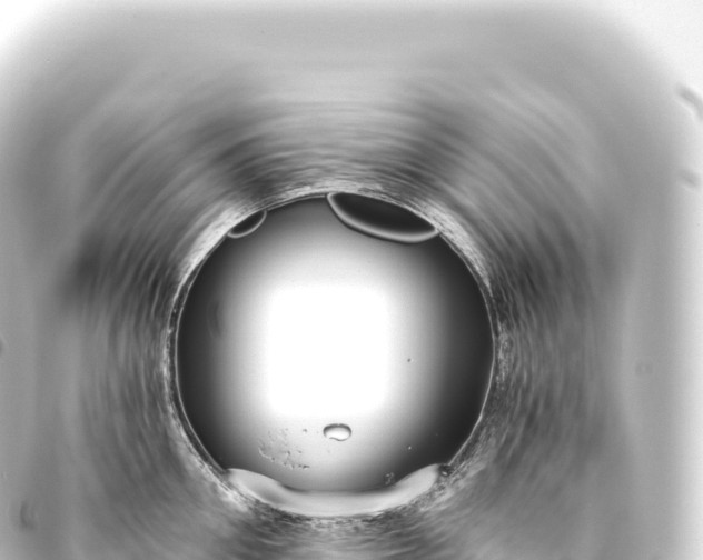 X0000093770906200710301203