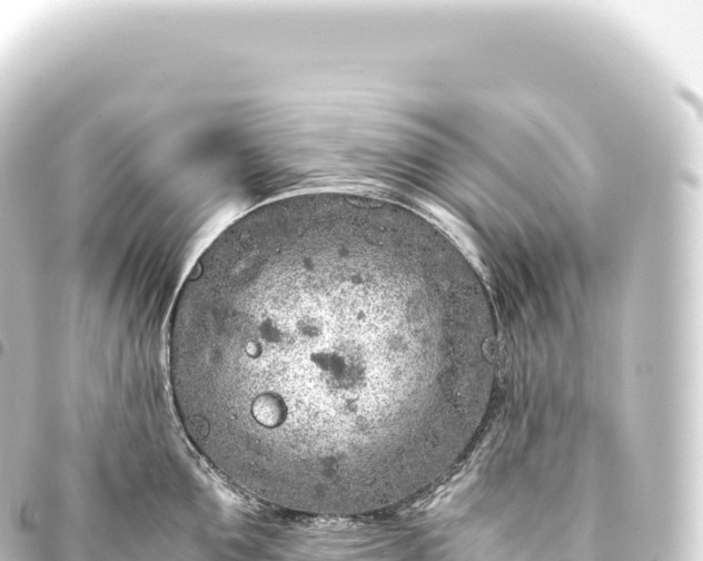 X0000093770907200710301203