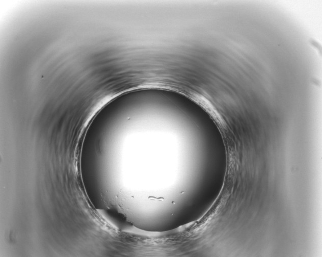 X0000093770908200710301203