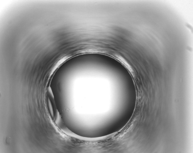 X0000093770909200710301203